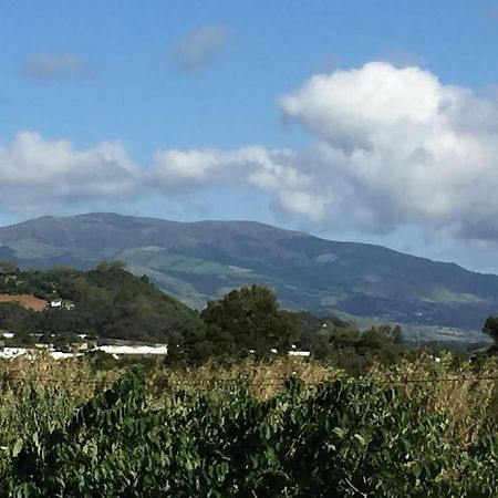 Villa Familia Ponta Delgada Eksteriør bilde